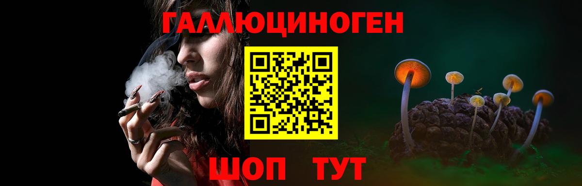 Псилоцибиновые грибы прущие грибы Белорецк